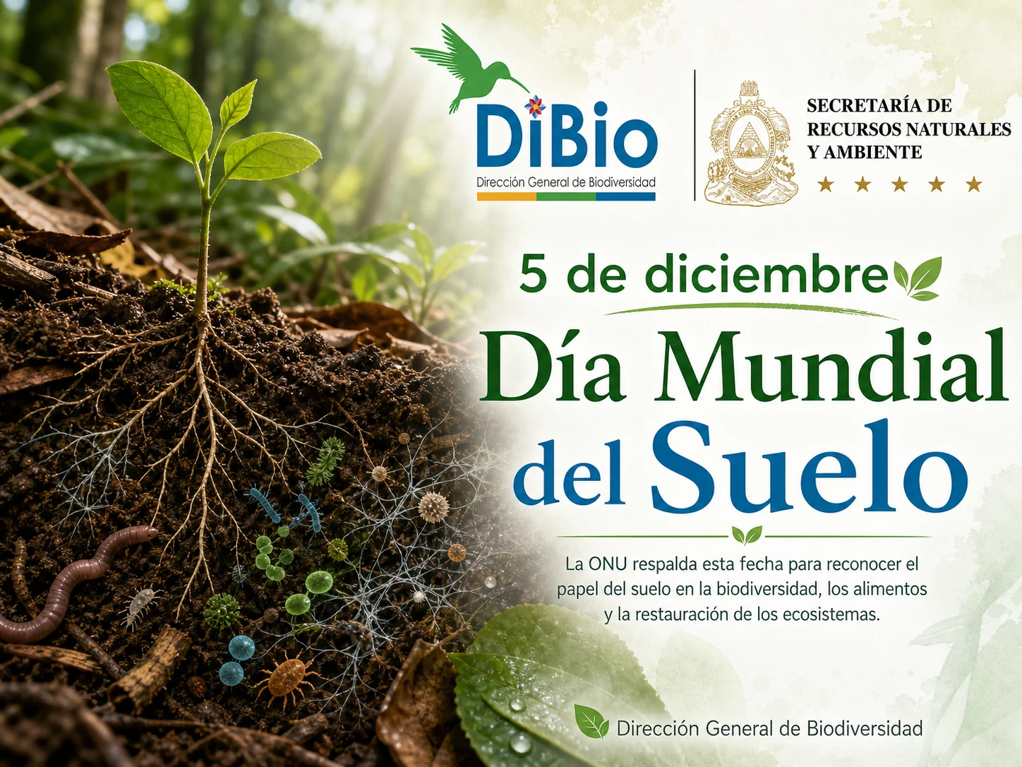 Día Mundial del Suelo
